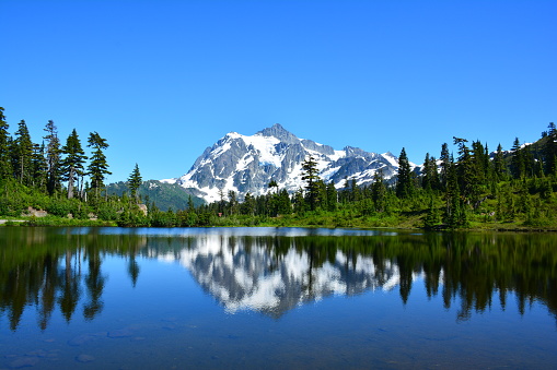 Mt. Shuksan reflecting on Picture Lake in North Cascade National Park