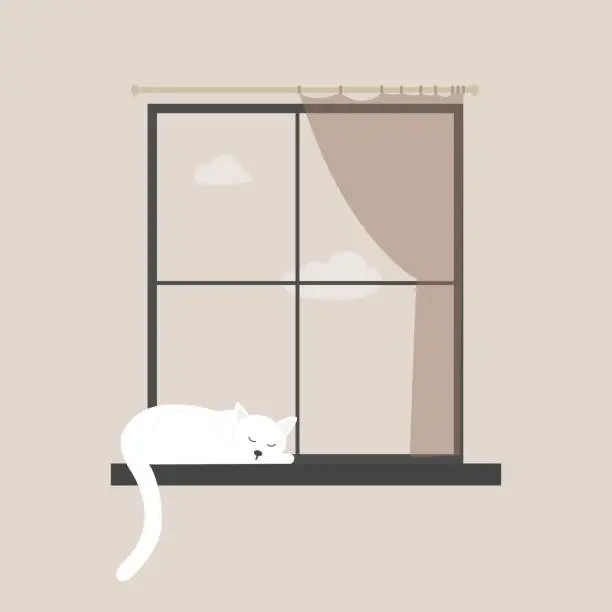 Vector illustration of Cat sleeps on the windowsill illustration