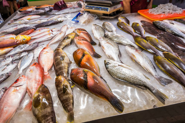 istock fish stalls in a large traditional market 1323795549