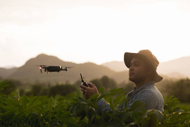 istock Asian farmer using drone flying navigating above farmland. A young farmer controls a drone in a large scale survey of agricultural plots for modern farming and farming. 1323796480