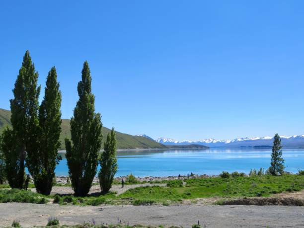 istock Tree,lake, mountain and blue sky 1323797356