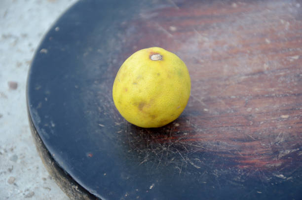 the fresh yellow ripe lemon on the maroon wooden background.