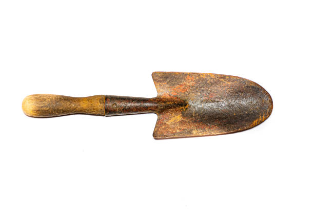 The small shovel used in gardening