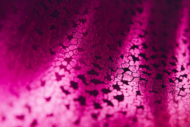 istock Abstract shiny blurred pink background. Textured glittering backdrop 1323811080