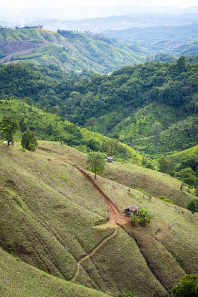 istock Deforestation on the mountains for agricultural in Thailand. 1323812505