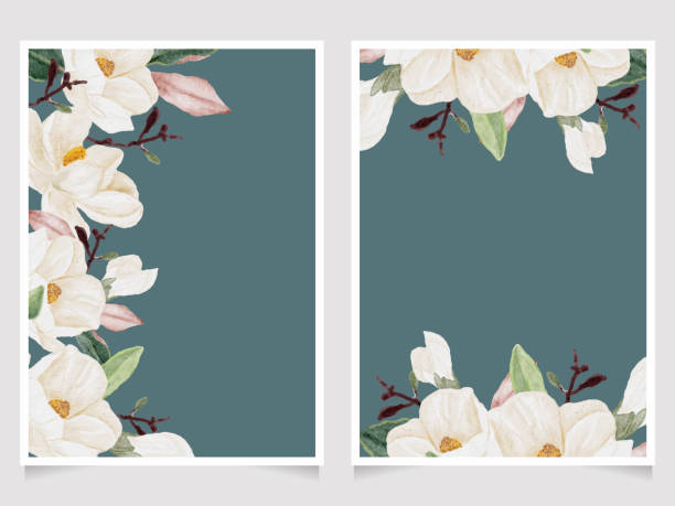 ilustraciones, imágenes clip art, dibujos animados e iconos de stock de acuarela dibujada a mano flor de magnolia blanca y rama de hoja verde ramo de invitación de boda colección de plantilla de tarjeta de invitación - magnolia blossom