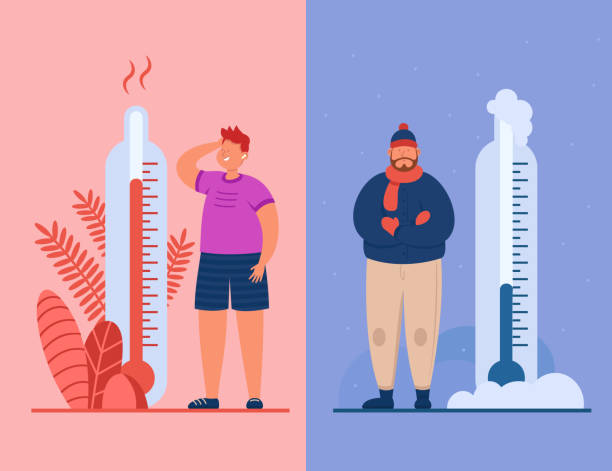 ilustrações de stock, clip art, desenhos animados e ícones de men in summer and winter flat vector illustration - roupa morna