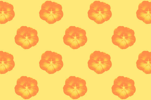 posterized flowers photograph