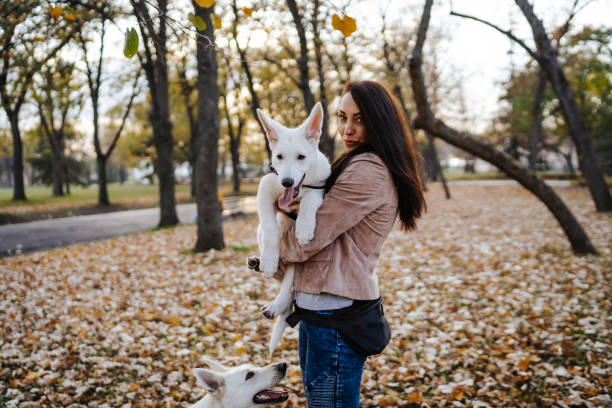 istock Relaxing in park with my two shepherds 1323819385