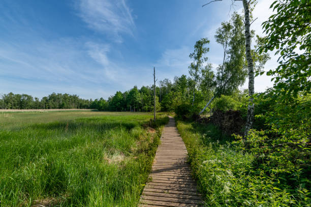 istock Educational trail - National Nature Reserve Soos 1323819825
