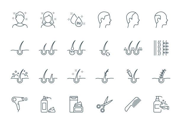 Treatment and Problem of Hair. Hair Care and Loss Problem. Shampoo, Dandruff, Haircut, Growth and Alopecia Line Icon. Barbershop Tools Flat Linear Icons. Editable stroke. Vector illustration Treatment and Problem of Hair. Hair Care and Loss Problem. Shampoo, Dandruff, Haircut, Growth and Alopecia Line Icon. Barbershop Tools Flat Linear Icons. Editable stroke. Vector illustration. human hair stock illustrations