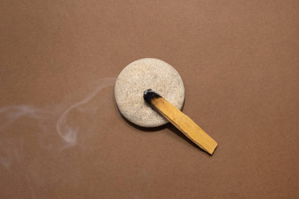 istock Palo Santo sticks on a brown background.Aromatherapy and religious rites and meditations.Scattered sticks of Palo Santo . Organic holy tree incense from Latin America. 1323826018