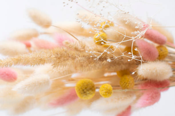 istock Dry delicate flowers close-up, selective focus. 1323830119