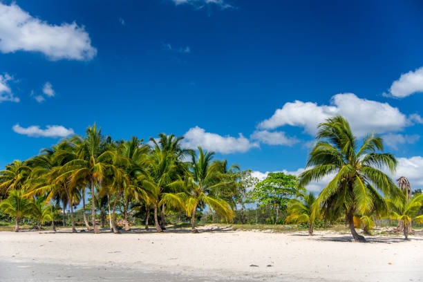 istock The famous Playa Larga in Cuba 1323835357