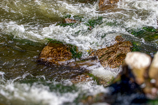 Close-up of blurred motion of river flowing over rocks in green rainforest