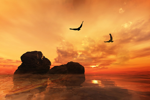 Eagles flying over large rocks with a beautiful orange sunset