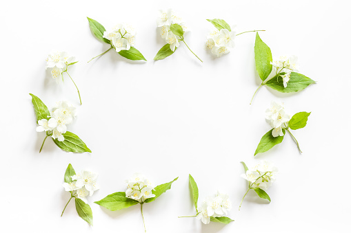 Frame of white jasmine flowers. Top view flat lay.