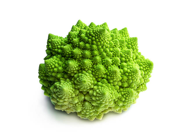 romanesco blumenkohl isoliert auf einem weißen - romanesque broccoli cauliflower cabbage stock-fotos und bilder