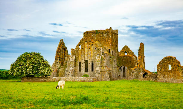 istock Idyllic Irish landscape, Ireland 1323842930