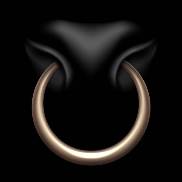 107 Bull Nose Ring Illustrations & Clip Art - iStock | Bull ring, Handshake