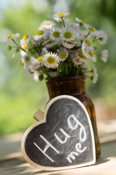 istock Hug me hand drawing phrase on a heart, Sharing a Hug concept 1323847389