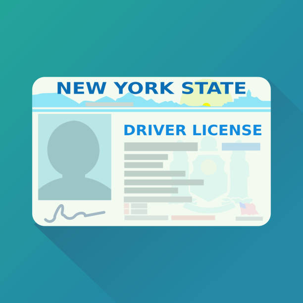 New York state driver's license (flat design) Driver's license on a blue background drivers license photos stock illustrations