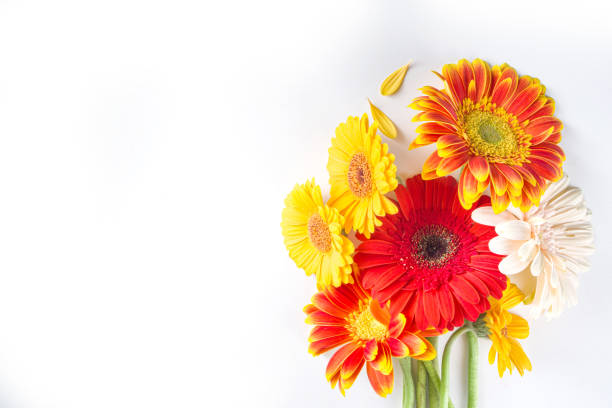 istock Flat lay with autumn flowers 1323852044