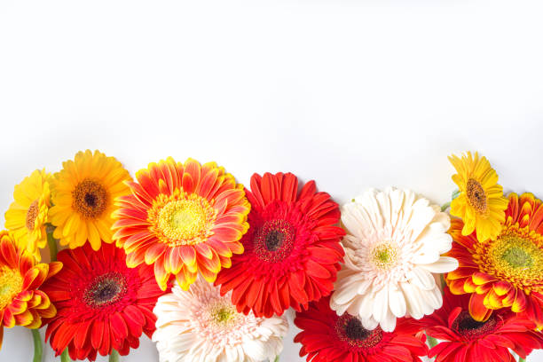 istock Flat lay with autumn flowers 1323852045