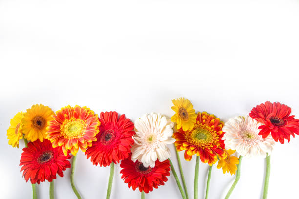 istock Flat lay with autumn flowers 1323852046