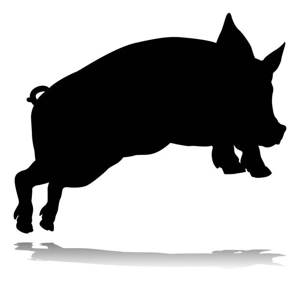 illustrazioni stock, clip art, cartoni animati e icone di tendenza di maiale silhouette animale da fattoria - when pigs fly