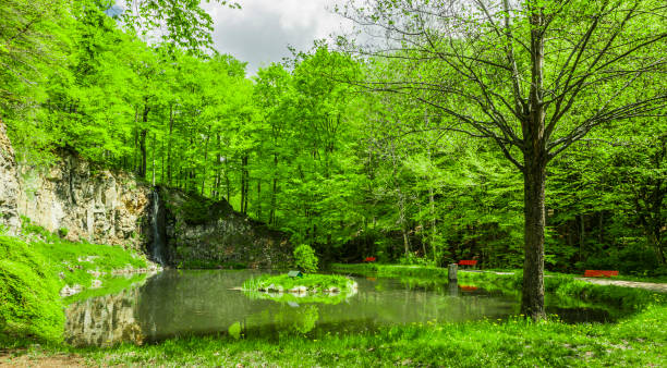 istock Water reflection in a beautiful forest lake 1323855862
