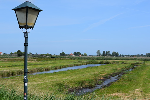 Rural green field and lamppost in summer