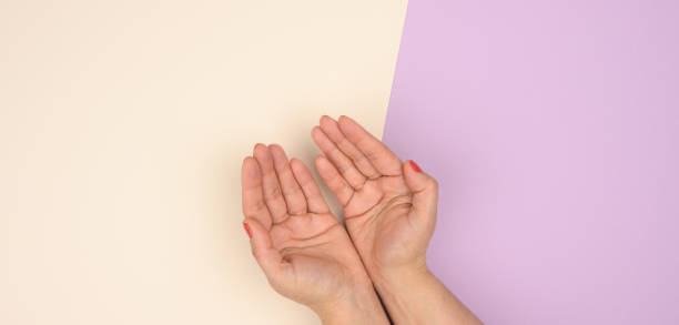 istock two female hands folded palm to palm on a beige  purple background 1323857899