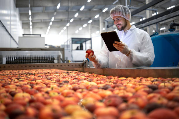 istock Technologist doing quality control of apple fruit production in food processing plant. 1323858054