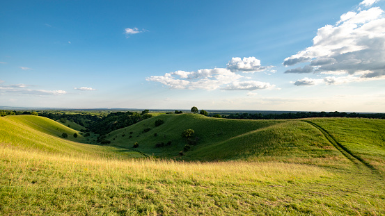 British town landscape view with blooming rapeseed foreground in england uk