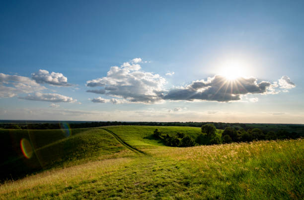 Lawn and hill at sunrise.