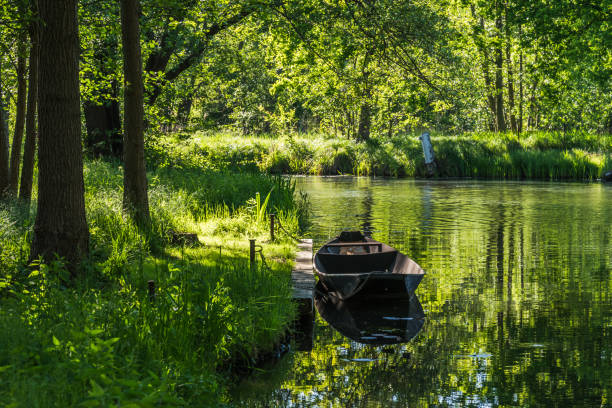 생구 보호구역인 슈프레발트(spreewald)에서 오래된 배가 있는 수중 운하가 봄철 독일 브란덴부르크 주에 있습니다. - spreewald 뉴스 사진 이미지