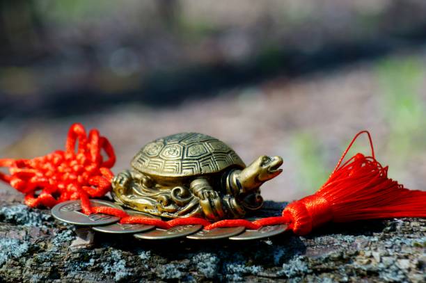 Metal turtle feng Shui close-up.