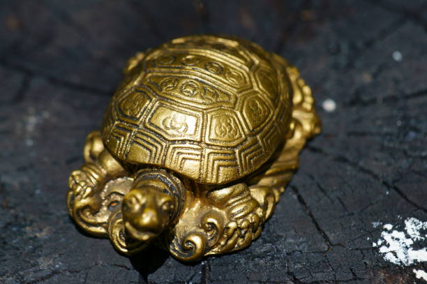 istock A turtle figurine on a dark wooden background. 1323869777