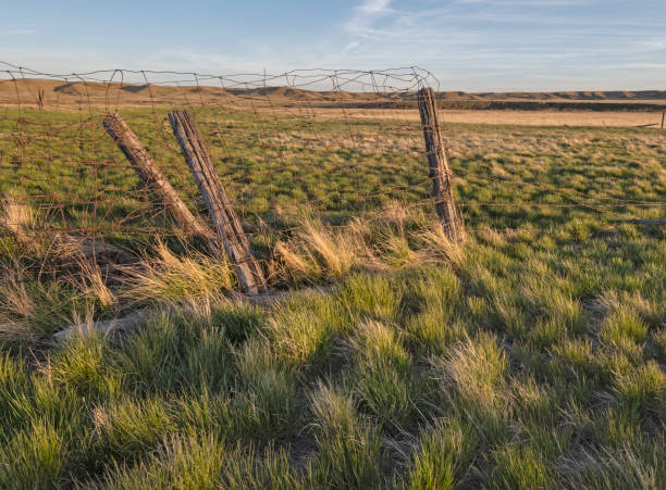 istock Old Fence near Val Marie 1323870823