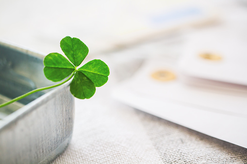 Lucky Clover Pictures | Download Free Images on Unsplash