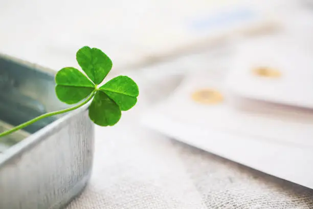 Photo of four-leaved clover