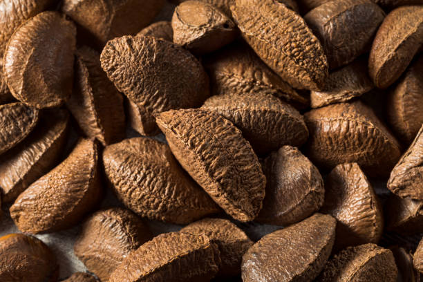 istock Raw Brown Organic Brazil Nuts 1323871303