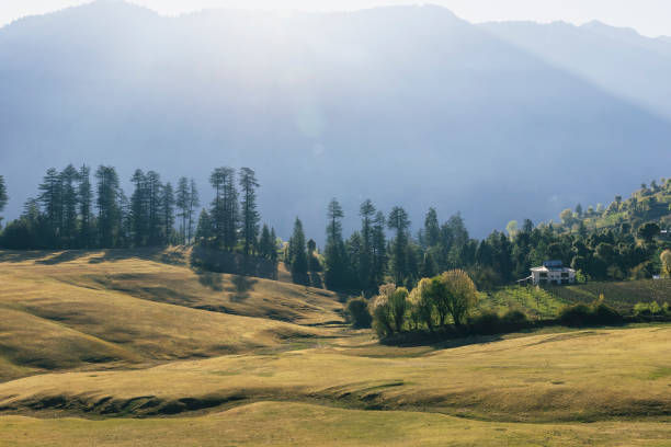 vista paisagística do vale shangarh em himachal pradesh, índia - 3690 - fotografias e filmes do acervo