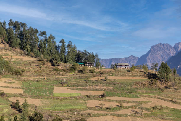 вид на долину шангарх в штате химачал-прадеш, индия - 3675 стоковые фото и изображения
