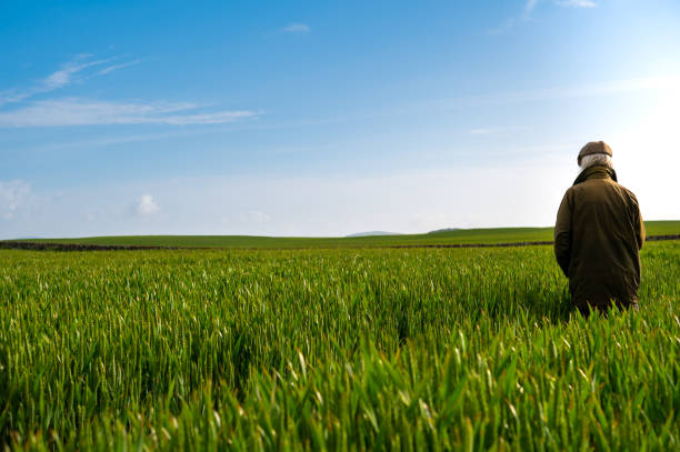 istock Senior man surrounded by a green cereal crop 1323880457