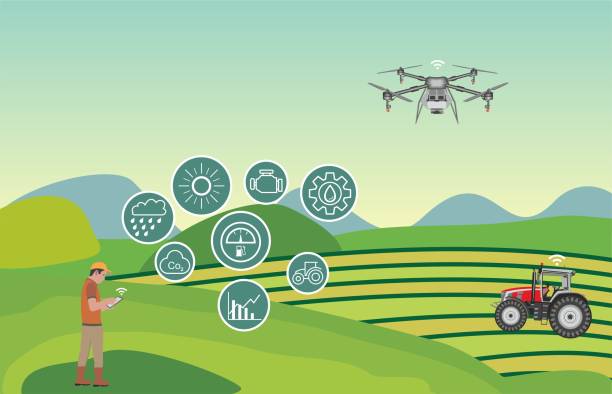 Farmer managing his modern farmland  with a mobile app and drone on his tablet IOT and smart farming concept precision agriculture stock illustrations