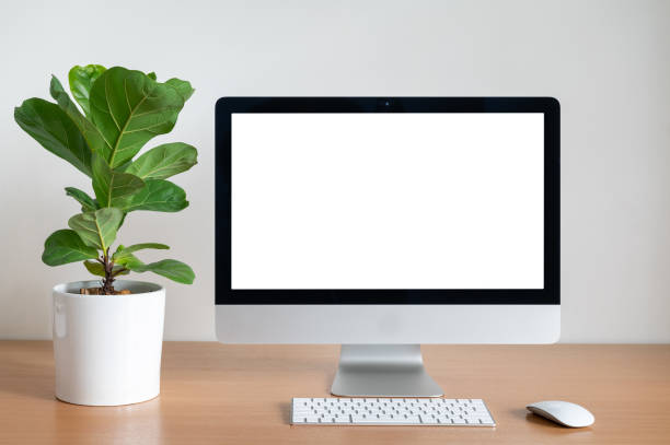 istock Blank screen of Desktop computer with Fiddle fig tree pot on wooden table 1323881907