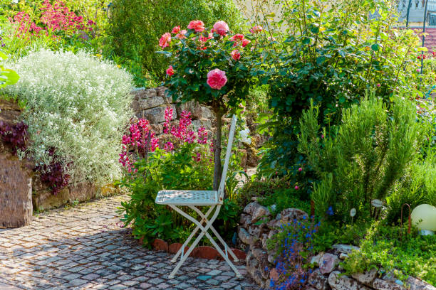 jardim residencial, jardim privado. projeto paisagístico no jardim de casa, paisagismo bonito no quintal no verão. belo jardim caseiro em plena floração e decoração de planta rosa e uma cadeira de metal. - chair grass flower bed nobody - fotografias e filmes do acervo