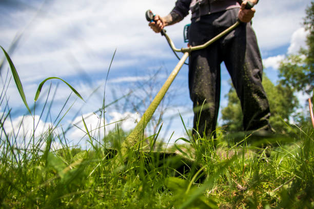 istock A man mows the grass with a gasoline trimmer. Close-up with selective focus 1323886334